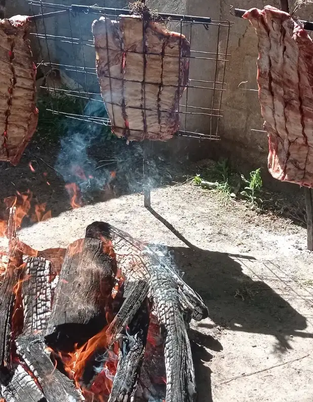 Adela | Tandil Uno Adela