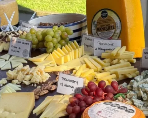 Queserías en Tandil: Ruta del Queso Artesanal con Productores Locales