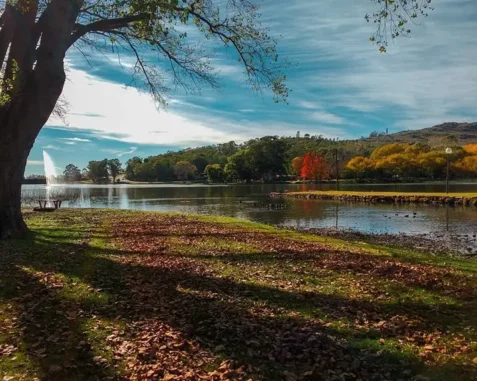 Tandil en otoño: por qué abril y mayo son los mejores meses